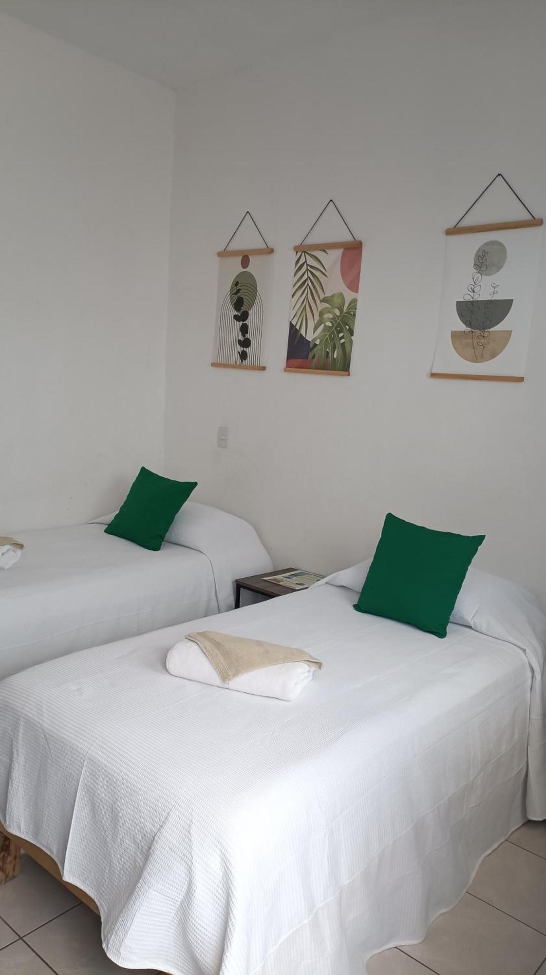 Tauch Cancun Centro エクステリア 写真
