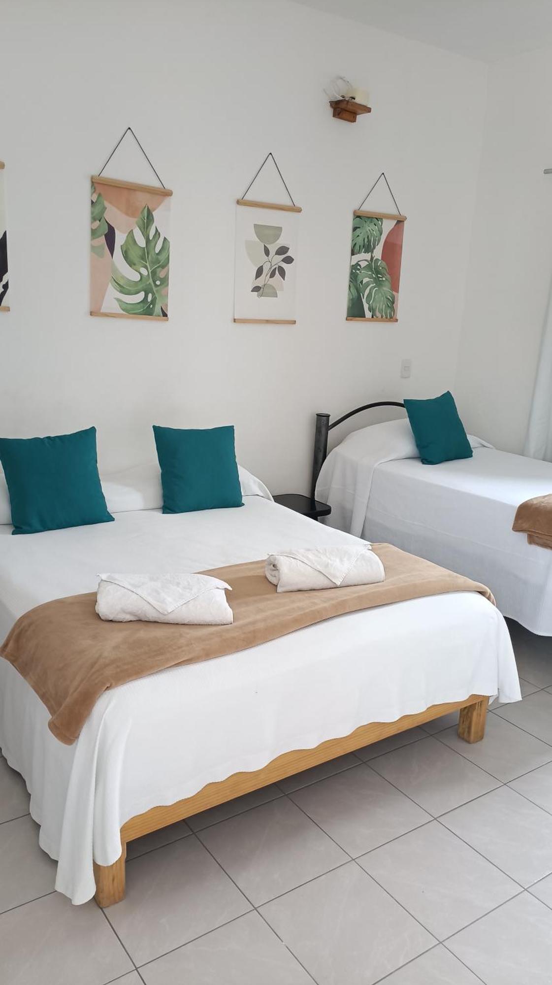 Tauch Cancun Centro 部屋 写真