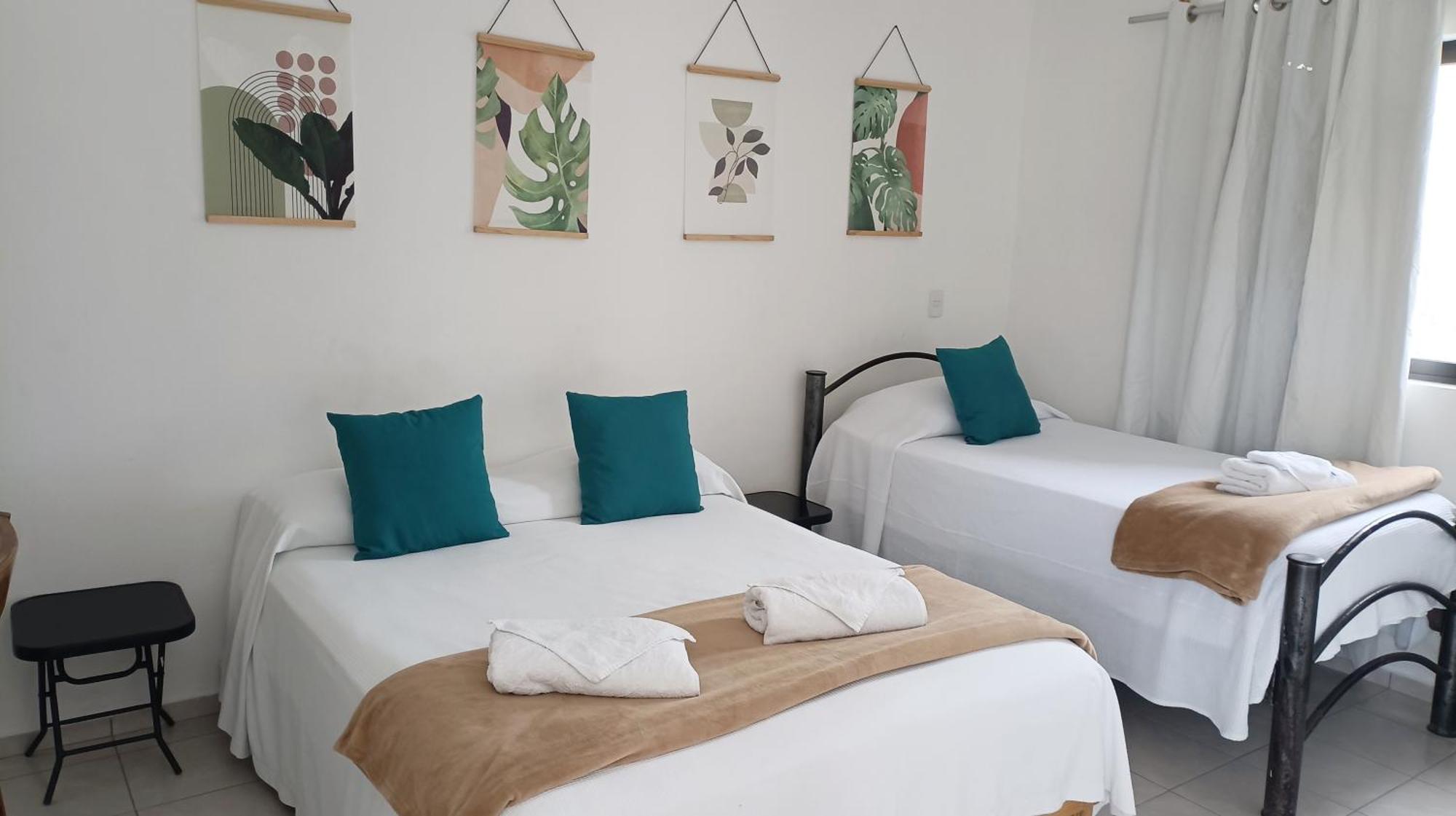 Tauch Cancun Centro 部屋 写真